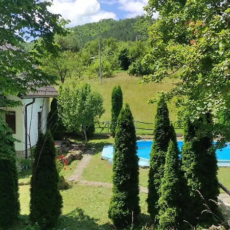 Apartman Mitric *