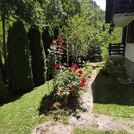 Holiday home Apartman Mitric *
