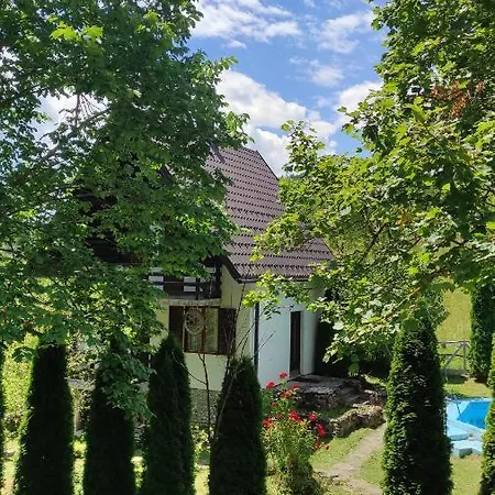 Apartman Mitric *